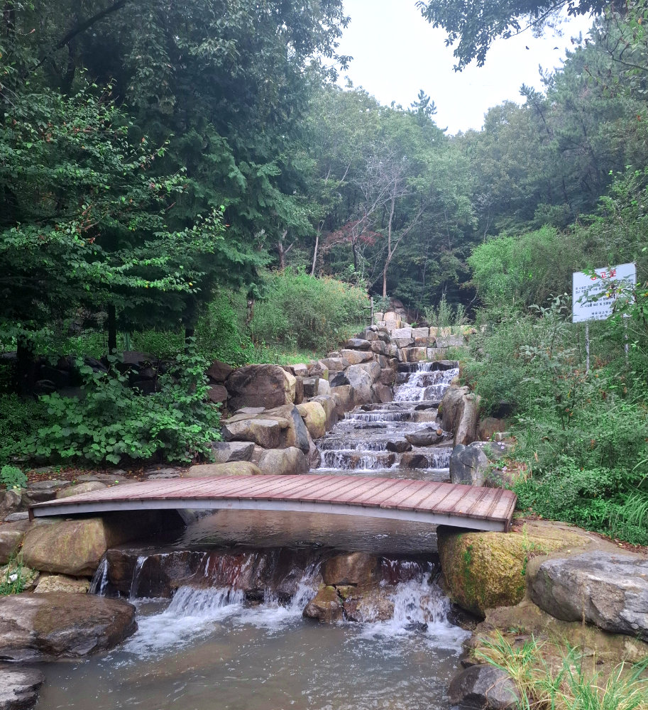 Bridge - Travelgems Korea