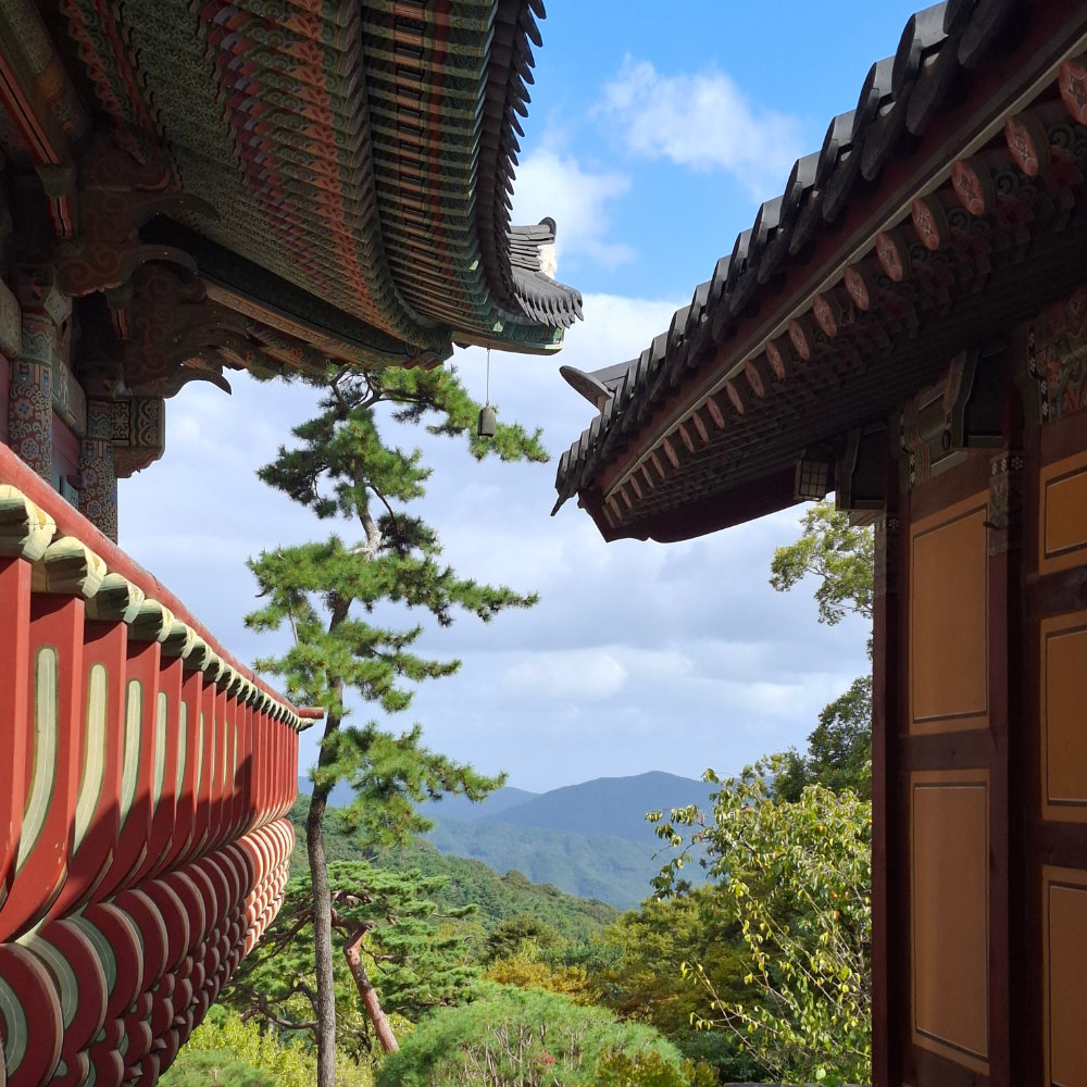 View - Travelgems Korea