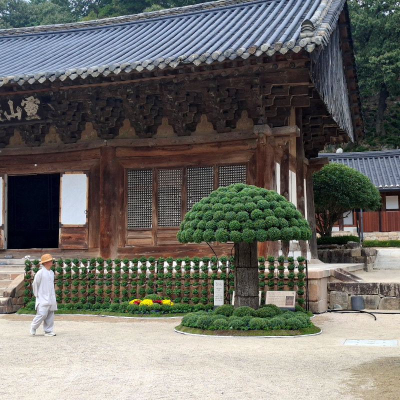 Garden - travelgemskorea.com