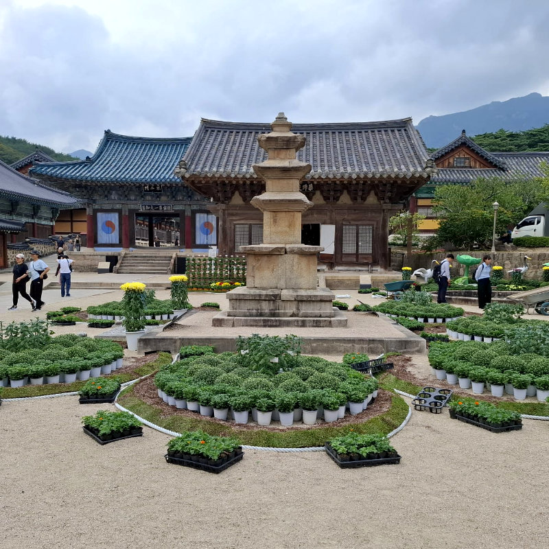 Garden - travelgemskorea.com
