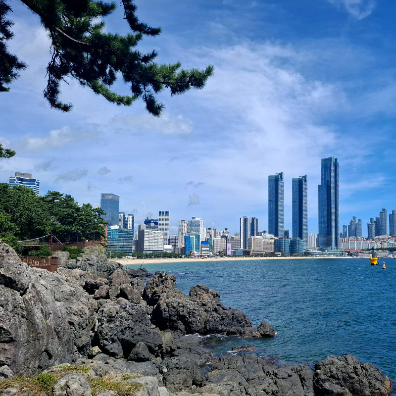 City view near water - travelgemskorea.com