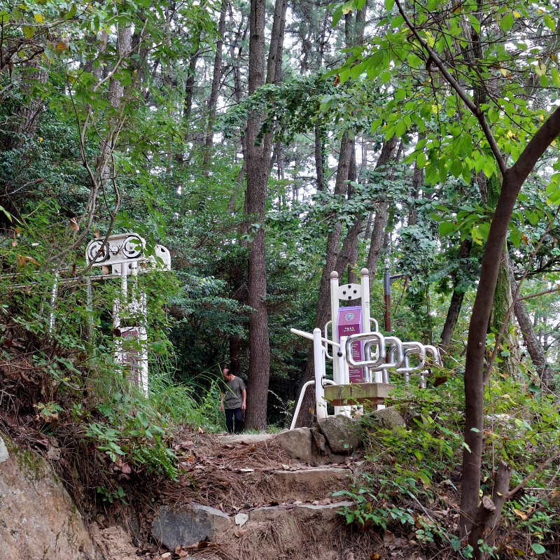 Path - travelgemskorea.com